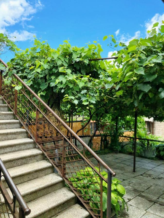 Achela'S Guesthouse Bordzjomi Buitenkant foto