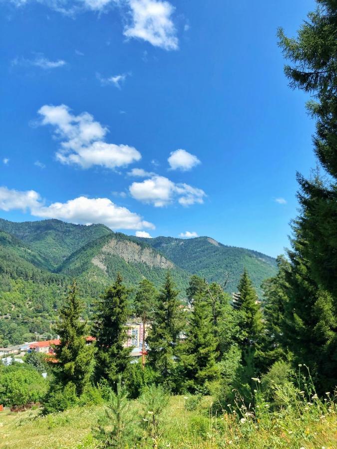 Achela'S Guesthouse Bordzjomi Buitenkant foto