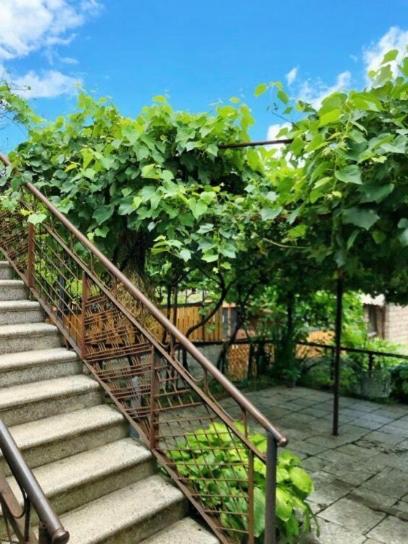 Achela'S Guesthouse Bordzjomi Buitenkant foto
